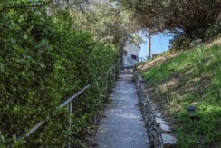 gda_0007_32-web-or-mls-2020 Baxter St_MEDIA360VR-32