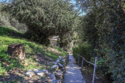 gda_0008_31-web-or-mls-2020 Baxter St_MEDIA360VR-31