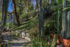 gda_0009_30-web-or-mls-2020 Baxter St_MEDIA360VR-30